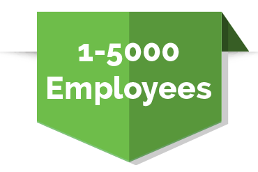 1 to 5000 employees icon