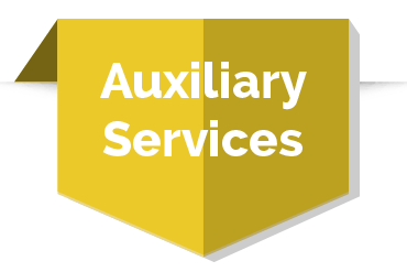 Auxillary Services icon