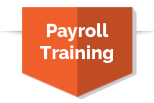 Payroll Training icon